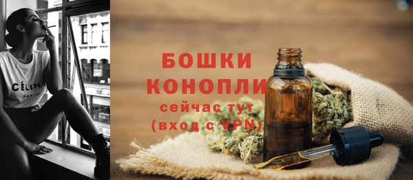 шишки Сосновый Бор