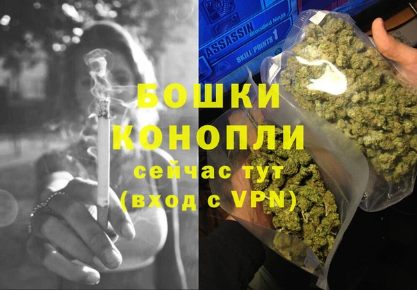 дмт Богородицк