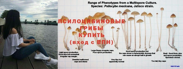 mdma Богородск