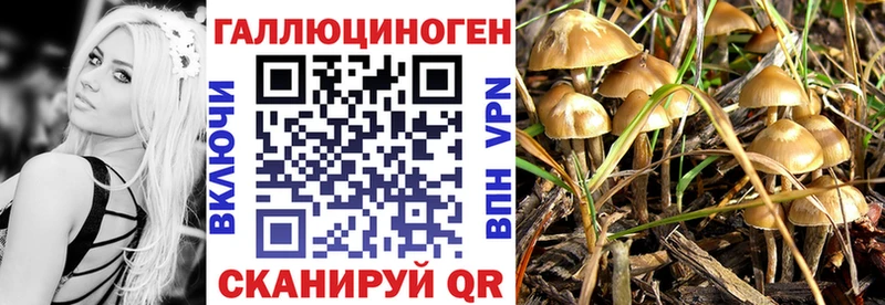 Псилоцибиновые грибы мицелий  мега как зайти  Буйнакск  наркошоп 